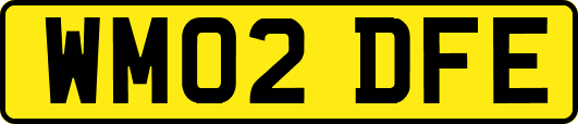 WM02DFE