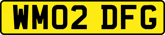 WM02DFG