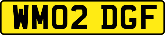 WM02DGF