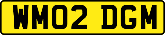 WM02DGM