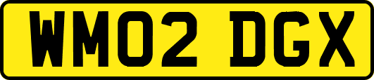 WM02DGX
