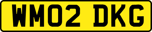 WM02DKG