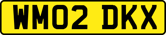 WM02DKX