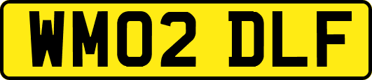 WM02DLF