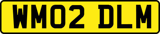 WM02DLM