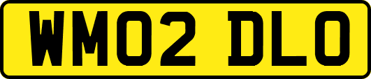 WM02DLO