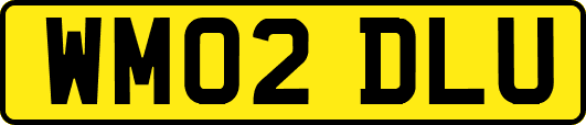 WM02DLU