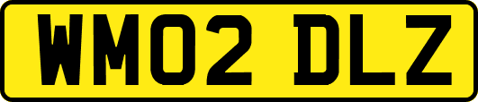 WM02DLZ