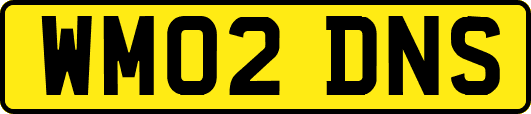 WM02DNS