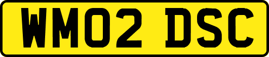 WM02DSC