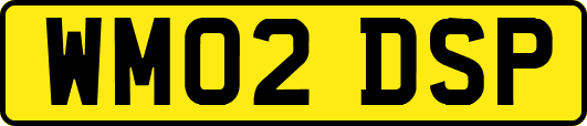 WM02DSP
