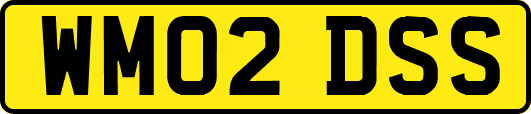 WM02DSS