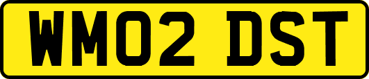 WM02DST