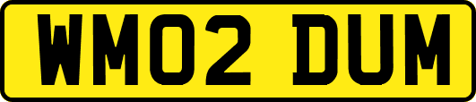 WM02DUM