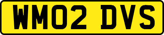 WM02DVS