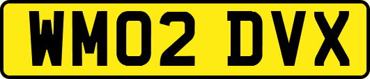 WM02DVX