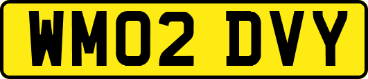 WM02DVY