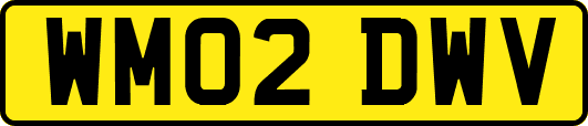 WM02DWV