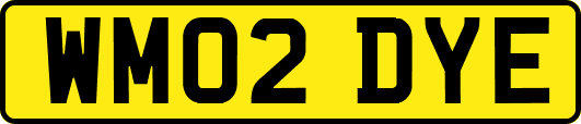 WM02DYE