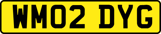 WM02DYG