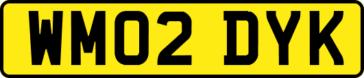 WM02DYK
