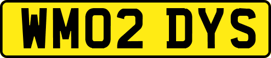 WM02DYS