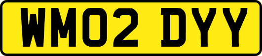 WM02DYY