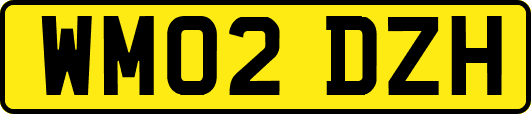 WM02DZH
