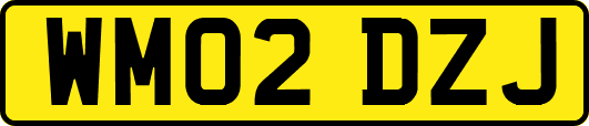 WM02DZJ