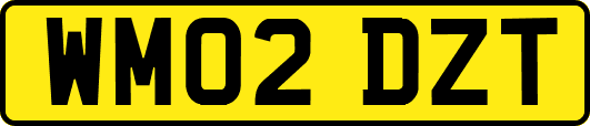 WM02DZT