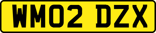WM02DZX
