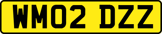 WM02DZZ