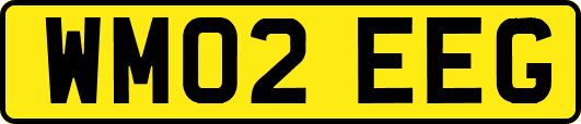 WM02EEG