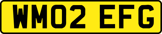 WM02EFG