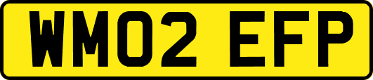 WM02EFP