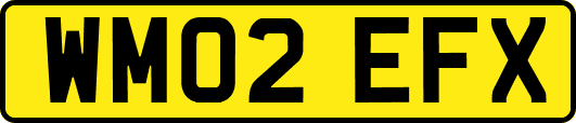 WM02EFX