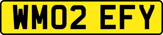 WM02EFY