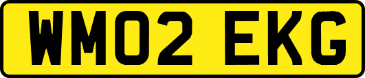 WM02EKG