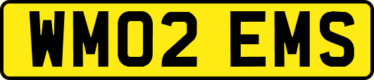 WM02EMS