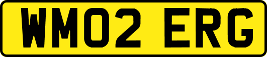 WM02ERG