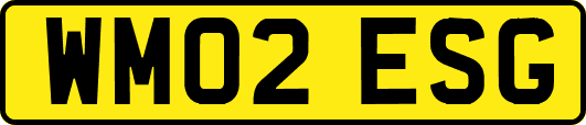 WM02ESG