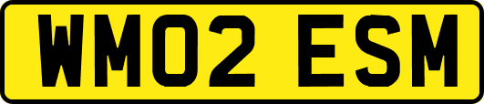 WM02ESM