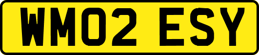 WM02ESY
