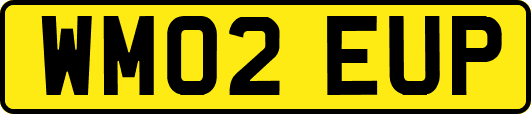WM02EUP