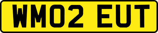 WM02EUT