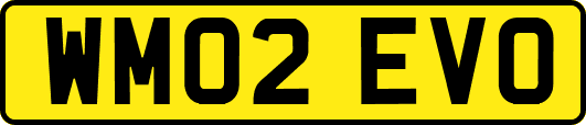 WM02EVO
