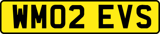 WM02EVS