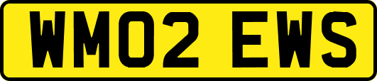 WM02EWS