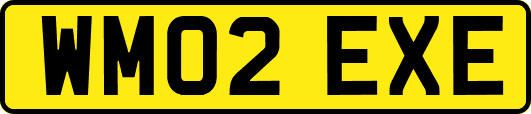 WM02EXE