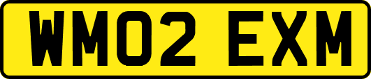 WM02EXM